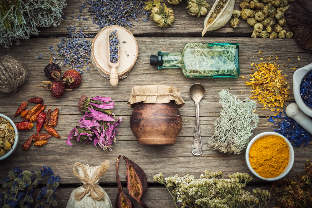 Autumn Elixirs: Aperitifs that Heal – The Aromatherapist